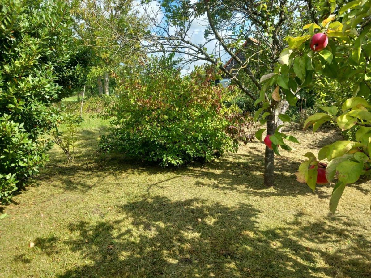Le Jardin Secret Villa Saint-Omer  Exterior foto